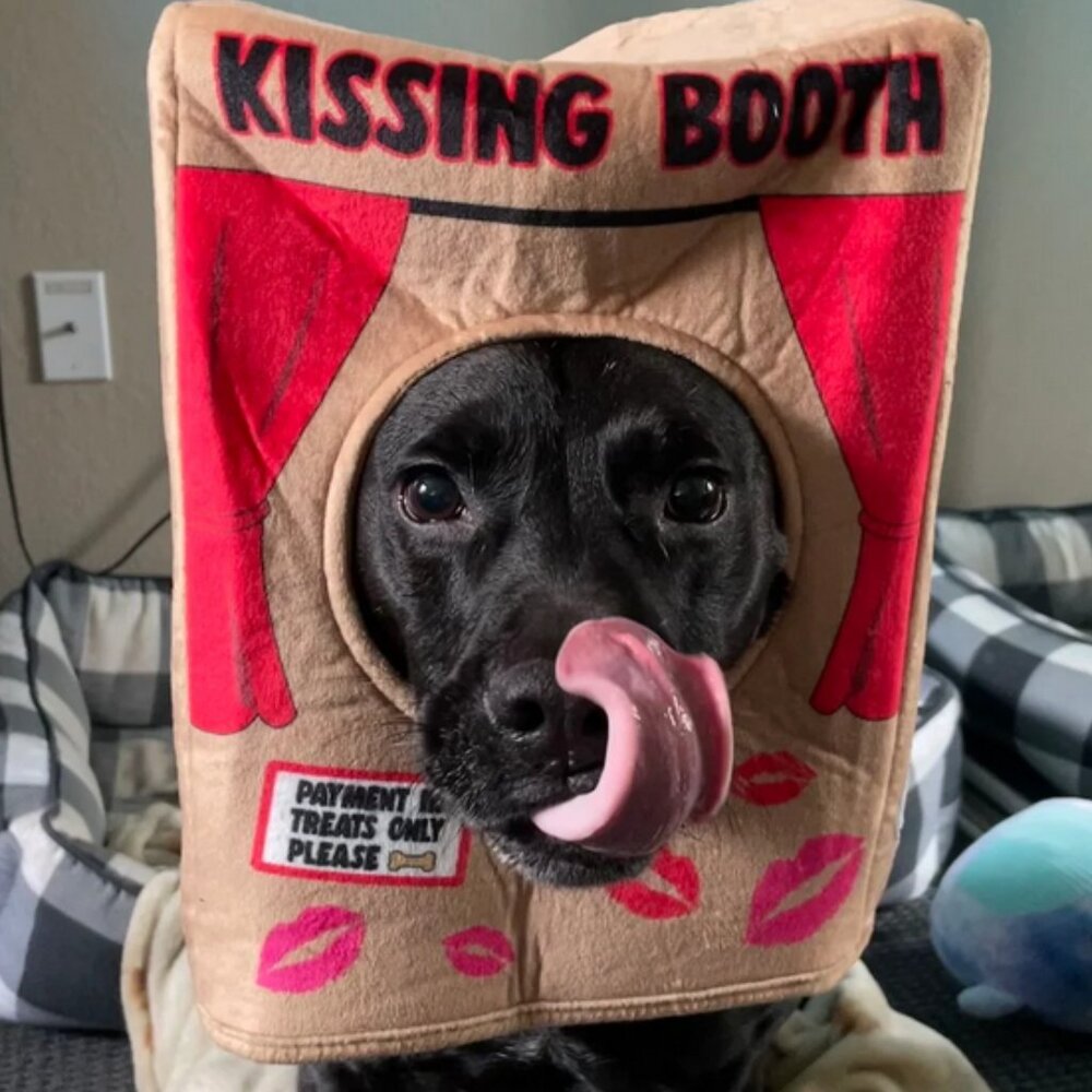 HARD TO FIND!!! NWT ~ Bootique Kissing Booth Pet Costume Headpiece Small/Medium
